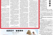 这十年，我们阔步迈向网络强国