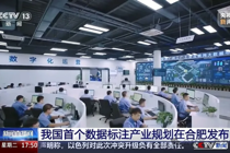 全国首个数据标注产业规划在合肥发布